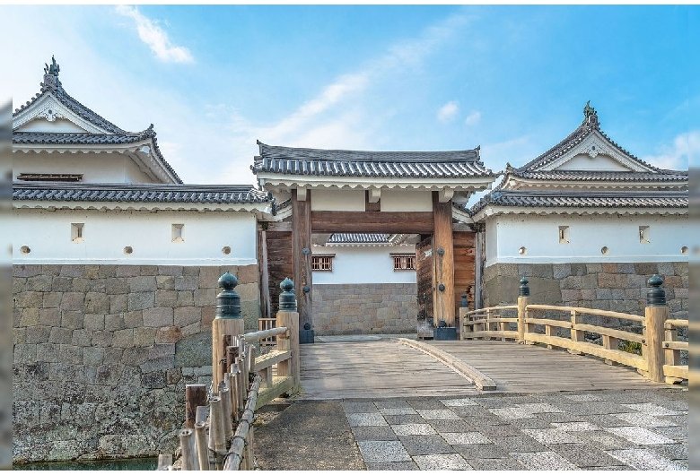 🏯 슨푸성 공원(슨푸조코엔) 이미지 1